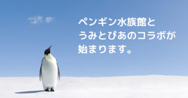 長崎市ペンギン水族館とのコラボ決定✨